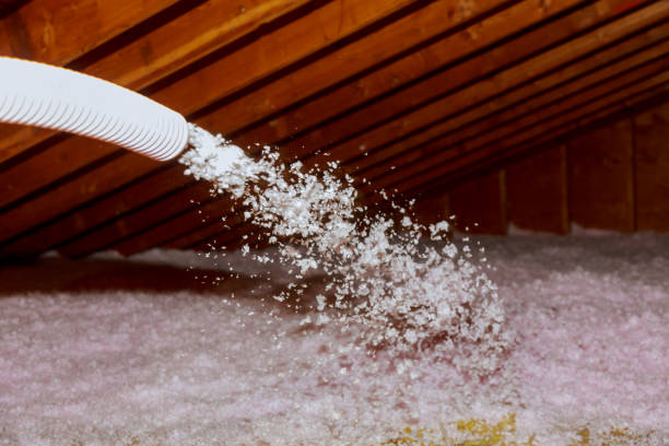 Best Insulation Installation Services in Archer City, TX