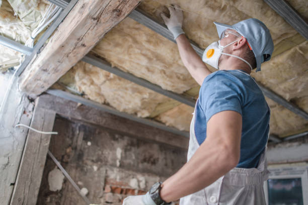 Best Insulation Installation Services in Archer City, TX